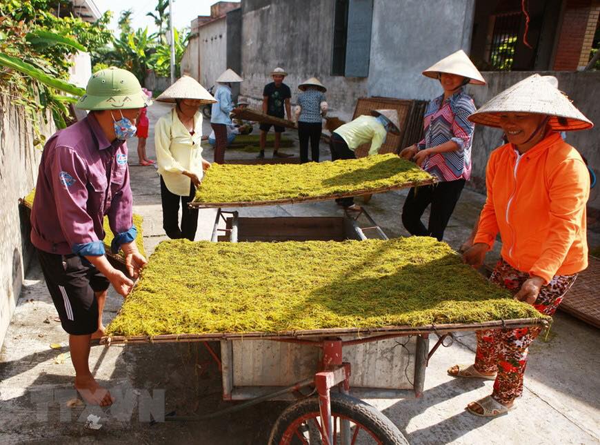 Thông Tin Quan Trọng Về Các Loại Thuốc Lào Phổ Biến